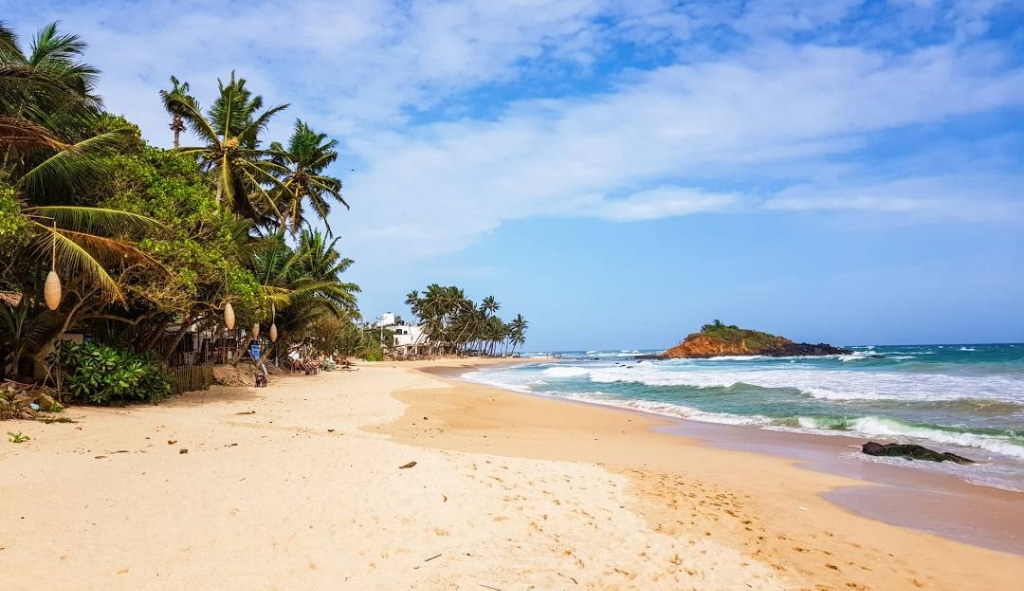 Ultimate Guide to Southern Beaches